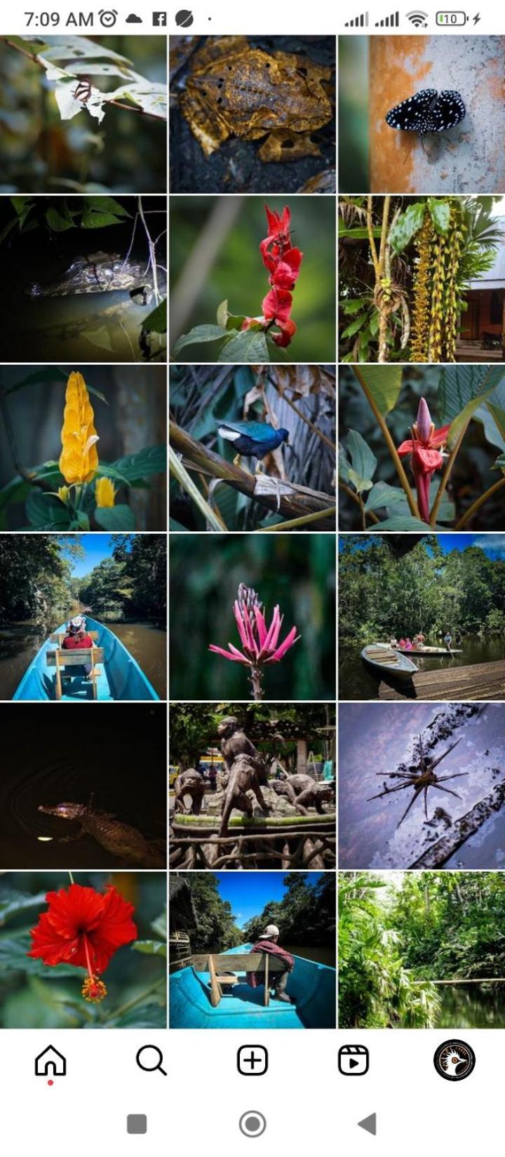 Misahualli Laguna Paikawe B&B Экстерьер фото