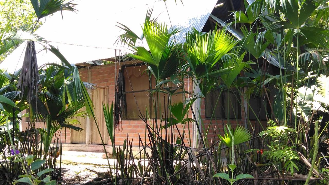 Misahualli Laguna Paikawe B&B Экстерьер фото