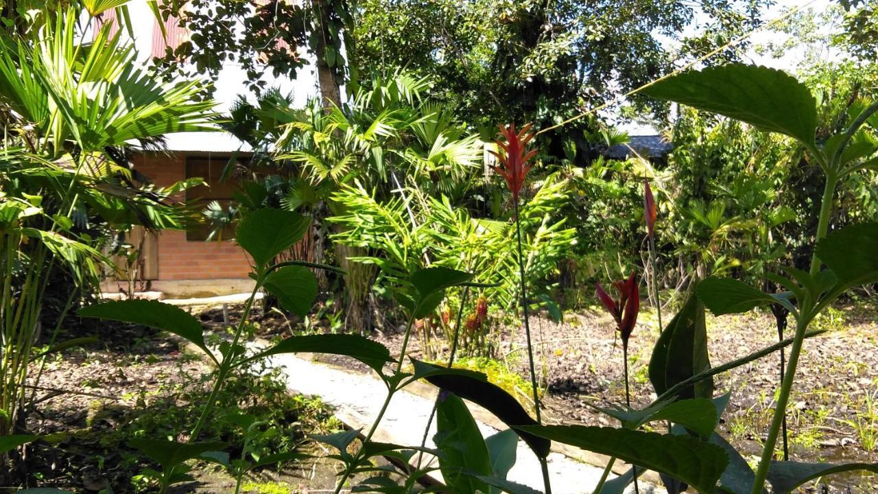 Misahualli Laguna Paikawe B&B Экстерьер фото