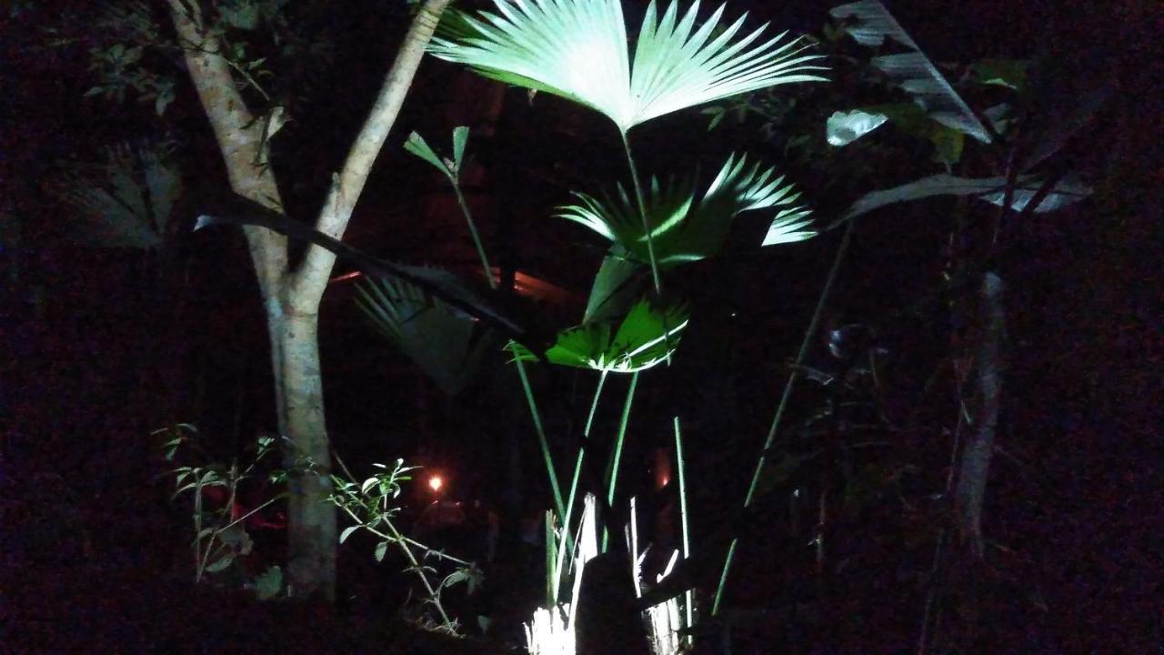 Misahualli Laguna Paikawe B&B Экстерьер фото